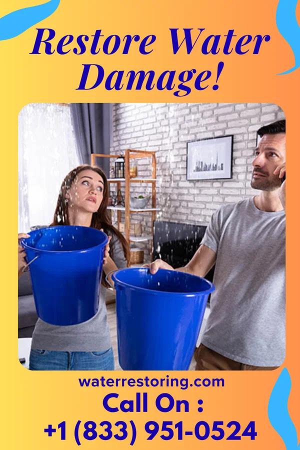 water restoration Heritage Sewage Cleanup Solutions Rossmore