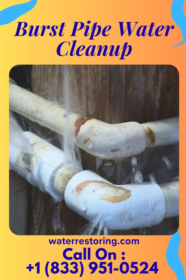 Burst Pipe Water Cleanup in Rossmore, WV
