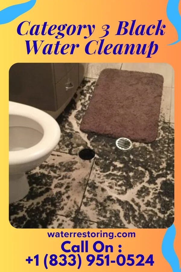 Category 3 Black Water Cleanup in Rossmore, WV