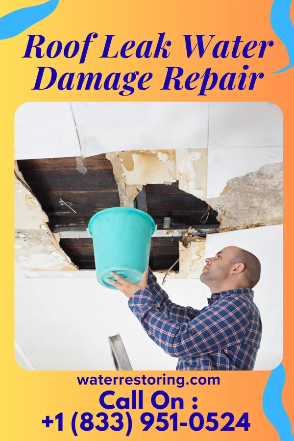Roof Leak Water Damage Repair in Rossmore, WV