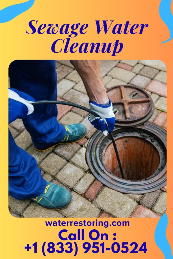 Sewage Water Cleanup in Rossmore, WV